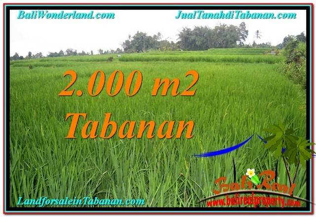 TANAH di TABANAN DIJUAL MURAH 2,000 m2 di Tabanan Penebel