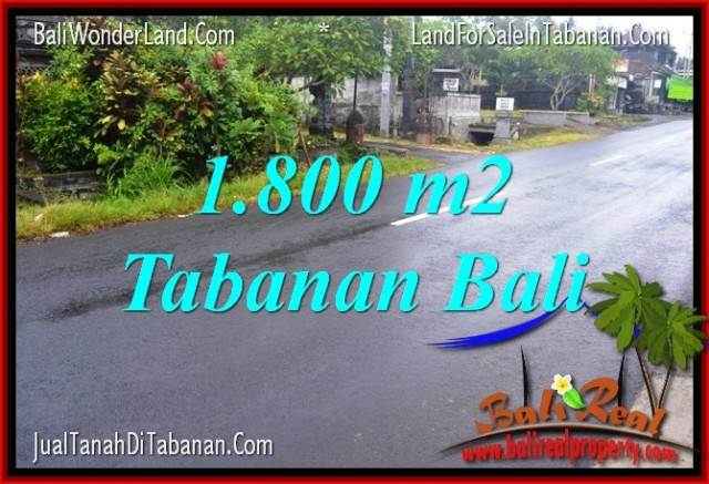 JUAL TANAH di TABANAN BALI 1,800 m2 di Tabanan Kota