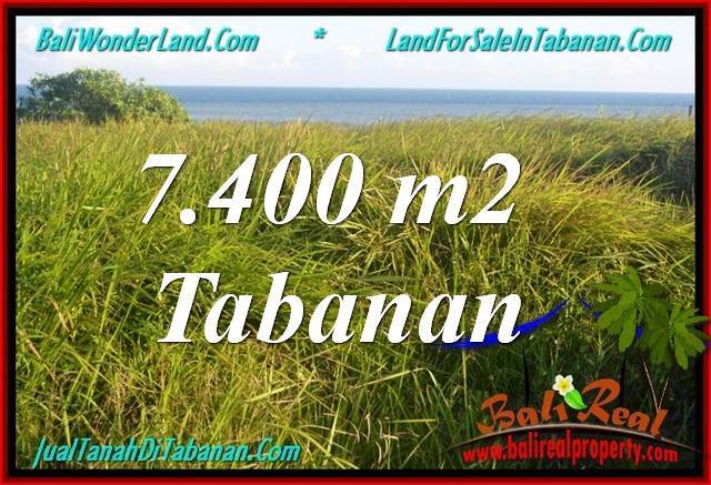 JUAL TANAH di TABANAN BALI 7,400 m2 di Tabanan Selemadeg