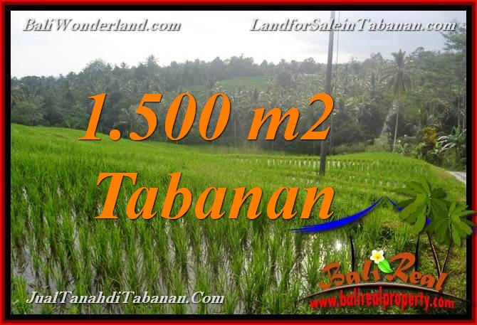 TANAH MURAH di TABANAN 1,500 m2 di Tabanan Selemadeg