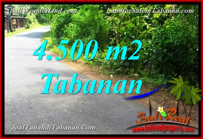 TANAH MURAH di TABANAN 4,500 m2 di Tabanan Selemadeg