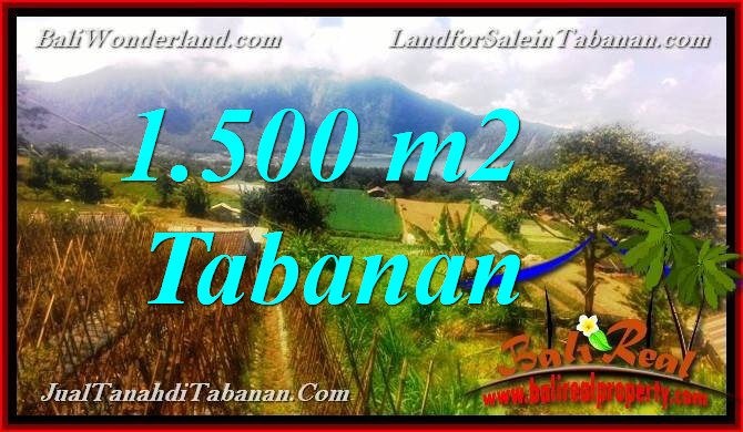 TANAH di TABANAN BALI DIJUAL 15 Are View Danau Beratan dan Gunung